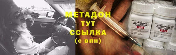 ПСИЛОЦИБИНОВЫЕ ГРИБЫ Гусев