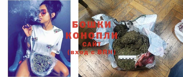 ПСИЛОЦИБИНОВЫЕ ГРИБЫ Гусев