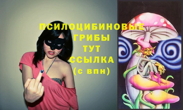 стафф Гусиноозёрск