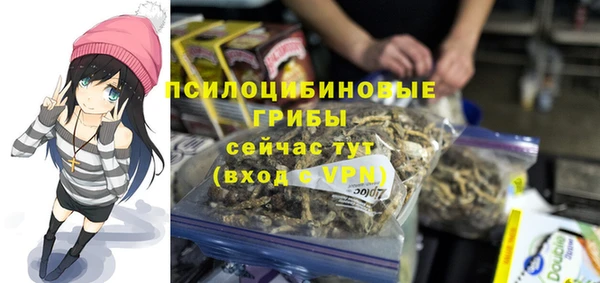 дурь Волосово
