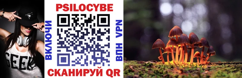 kraken как зайти где купить наркоту Ишимбай Псилоцибиновые грибы Psilocybine cubensis